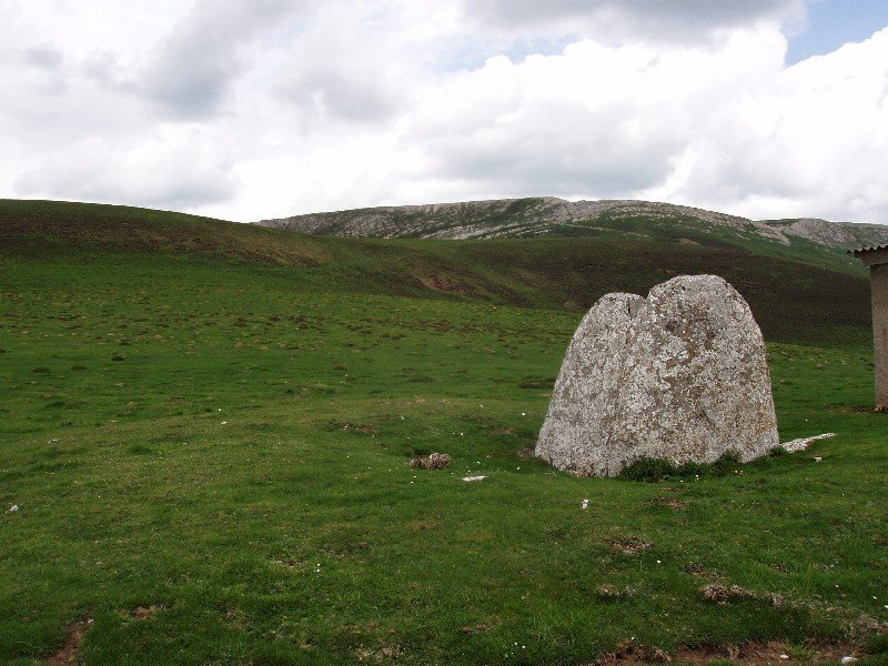 Trikuharria Goñiburutik hurbil