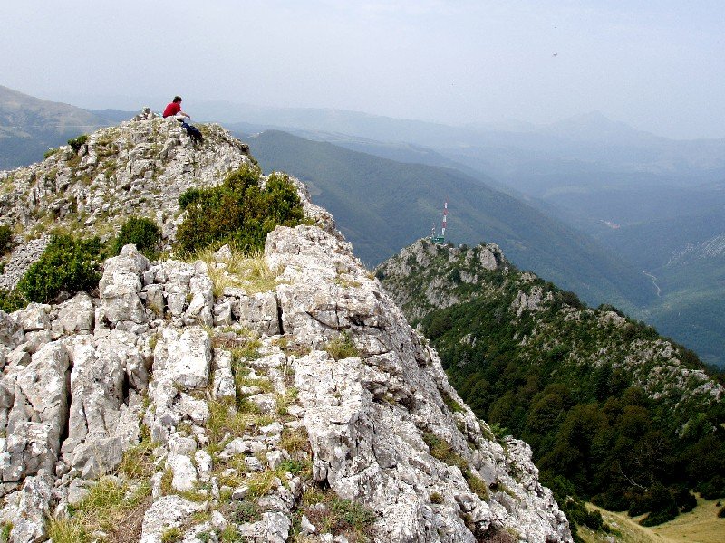 Tontorra, Ardibidepikua behean