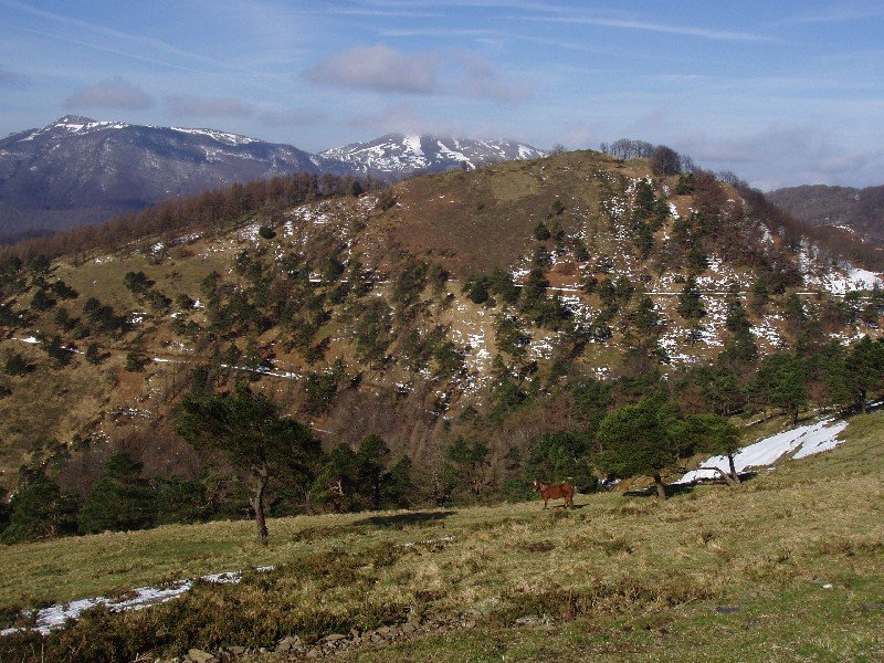 Laztegi edo Otsaberri (1199m), hegoaldetik