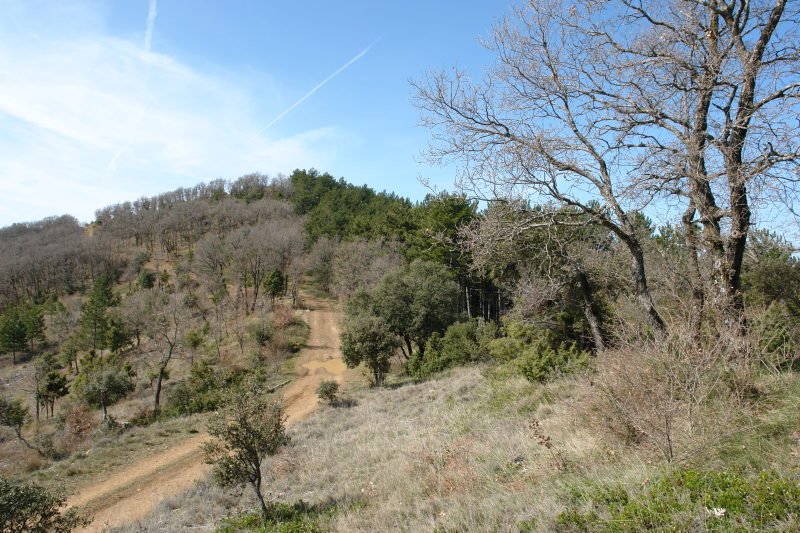 Azken metroak, ekialdetik