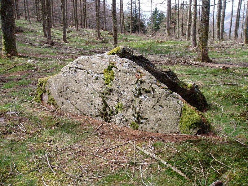 Belabieta Txiki trikuharria