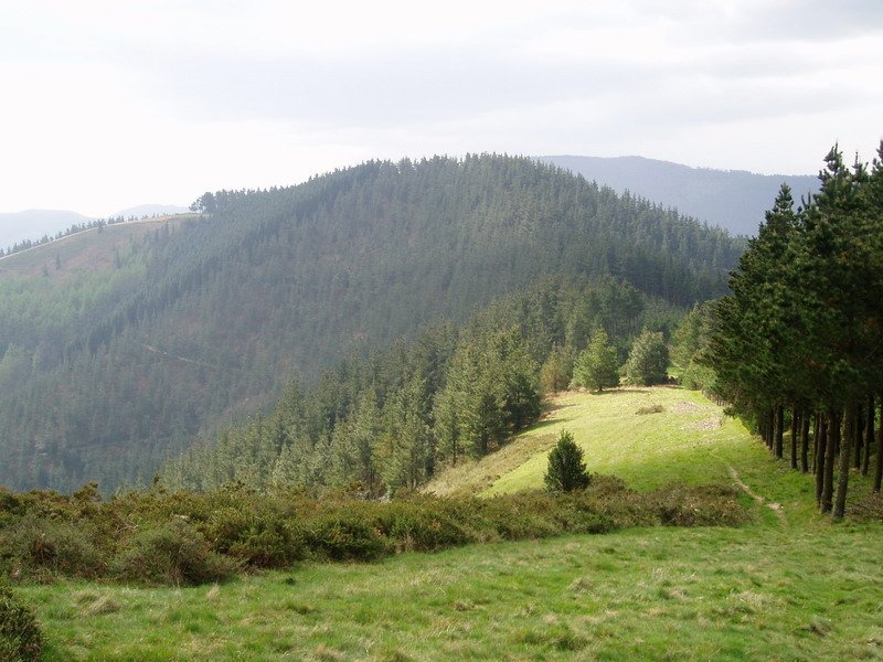 Azkarate Urnobieta aldetik ikusita