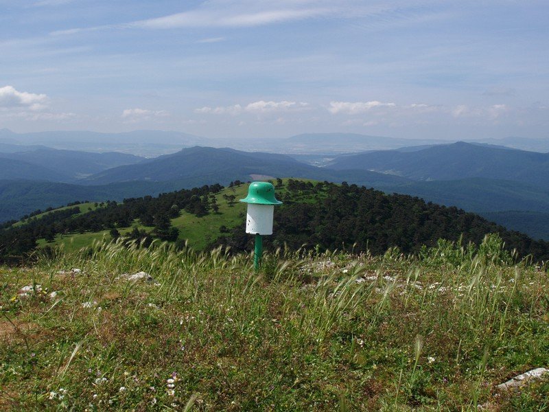 Txartelontzia, atzean Oihartzabal