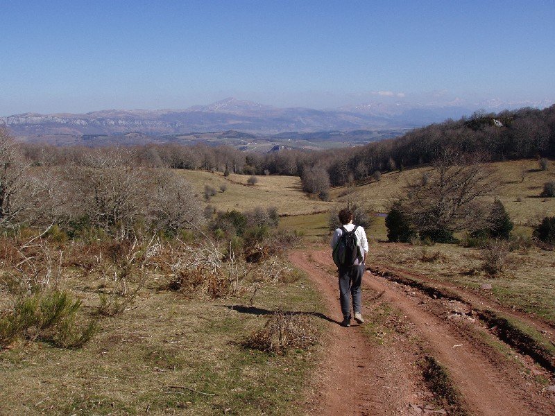 Bizkailuztik Tornuela leporantz