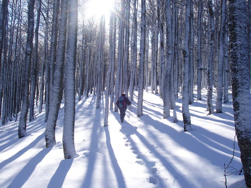 Corona-Erratzuko bidean