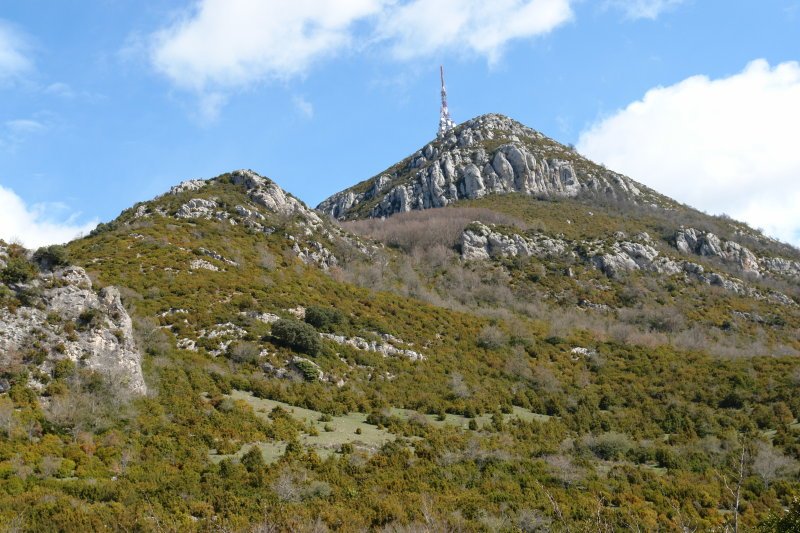 Tontorra Hegoaldeko lepotik