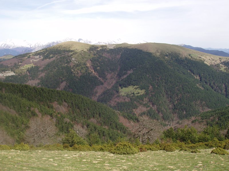 Kakueta eta Binies arroila Txorrotxarriatik