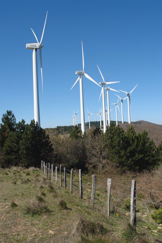 Begiratokitik aurrera ere, errota gehiago