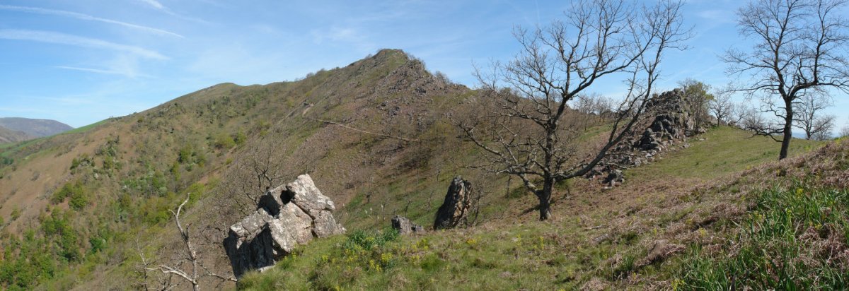 Hegoaldeko bizkarra, Larrango aldetik