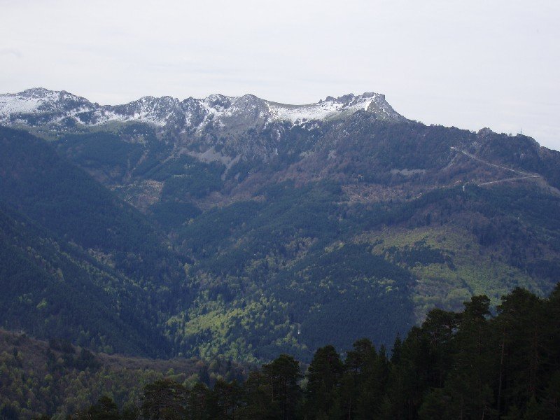 Larratza eta Ardibidepikua, Armotoatik