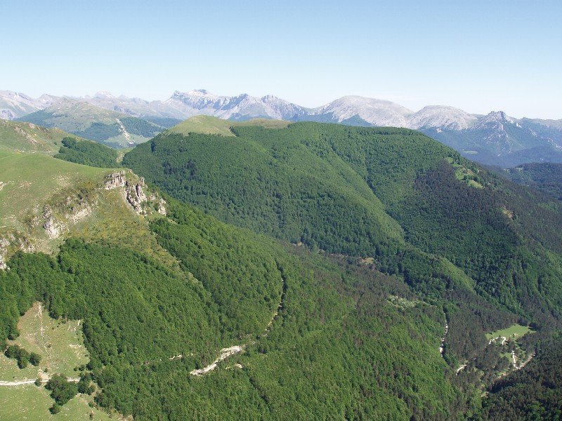 Larrondoa Otsogorrigainatik