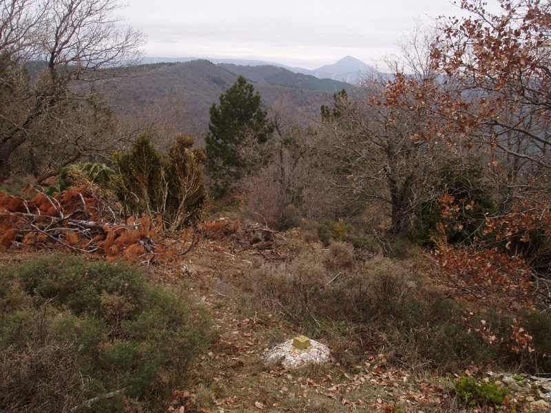 Alto de Lerga, gailurra.