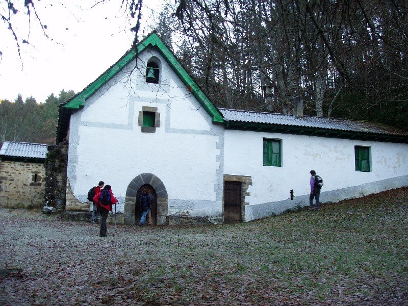 Argiloaingo baseliza