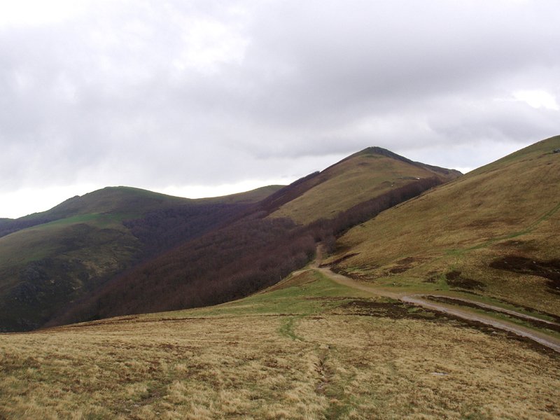 Intzadorreko lepotik, Leitzarateka eta Txangoa