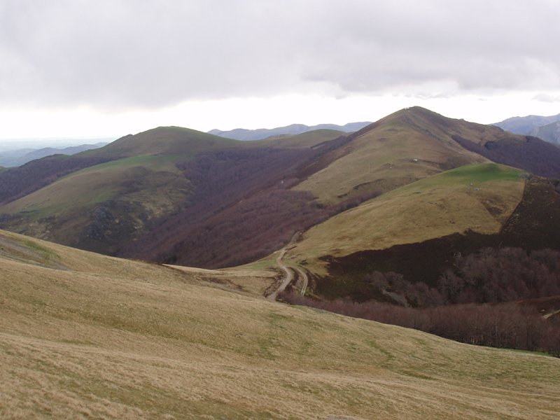 Leitzarateka, Txangoa eta Mendittipi