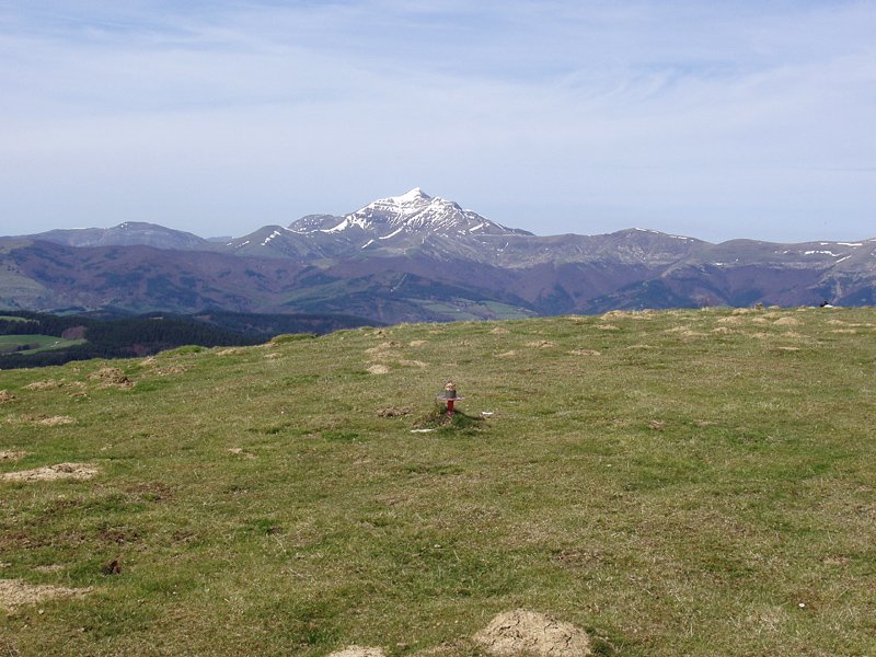 Gailurra eta, atzean, Ori