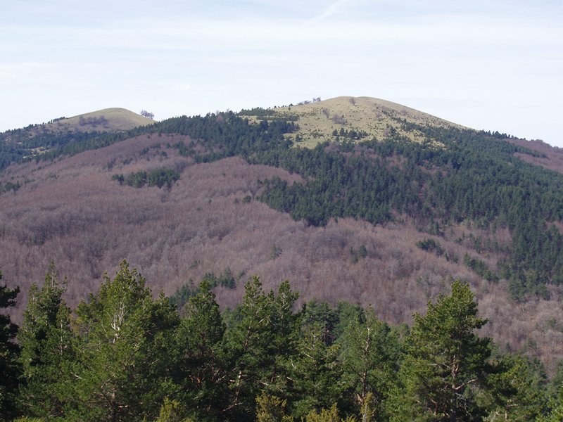 Txorrotxarria, ipar isurialdea