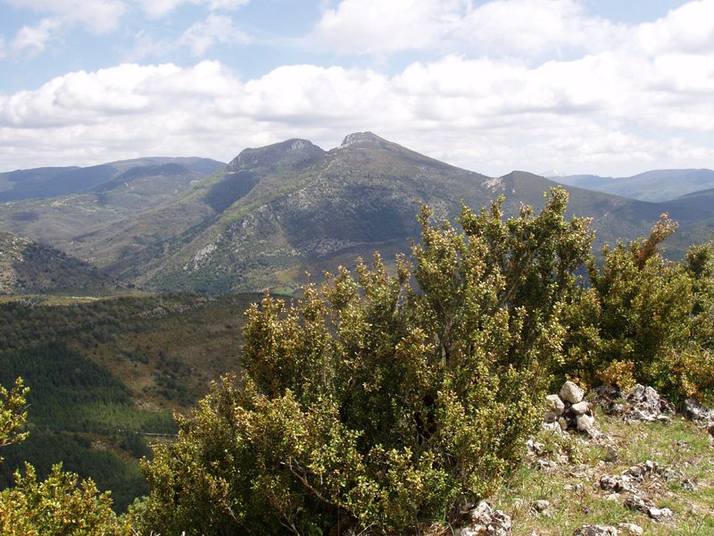 Arbasamendiko gailurra (948m)