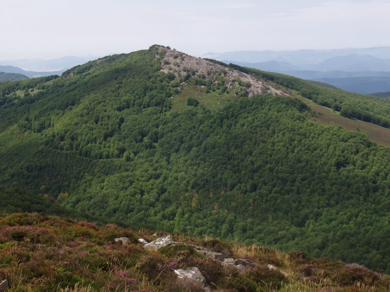 Egide, Erregerena menditik