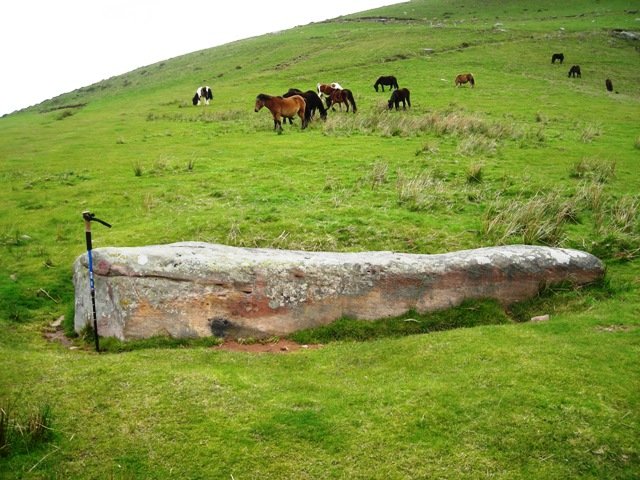 Meatseko Bizkarra-ko zutarria