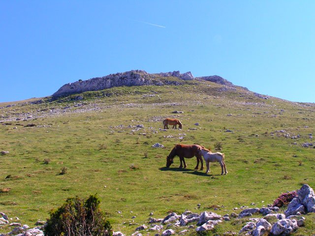 Mendebaldetik ikusita
