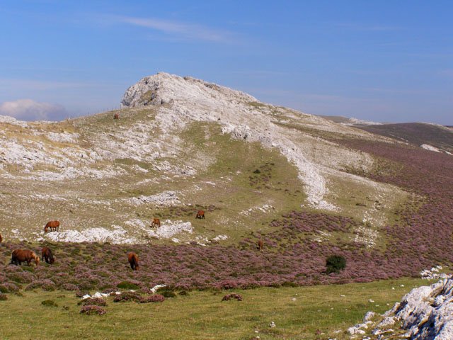 Eskalaborro hegoaldetik ikusita
