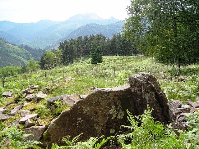 Akolako Lepoa 1-eko trikuharria