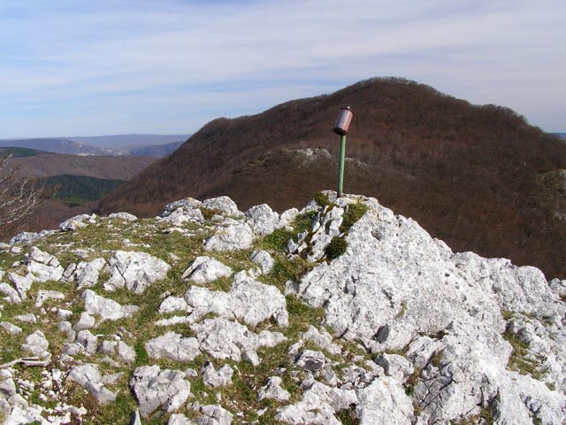 Allaitz txikiko gailurra