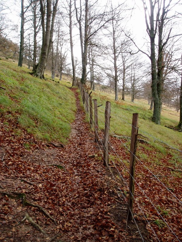 Tontorra hegoaldetik inguratzen duen bidea