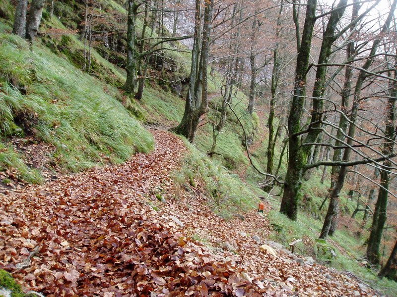 Lizarrusti eta Lareo arteko bidea