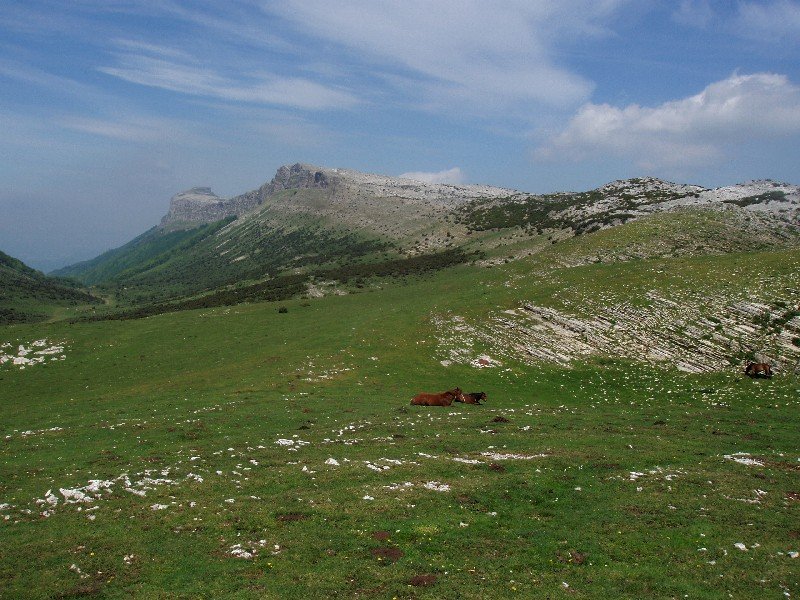 Lezitzagoa eta Beriain