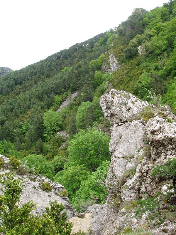 Harrizko "adar" bat, urjauzi baten buruan