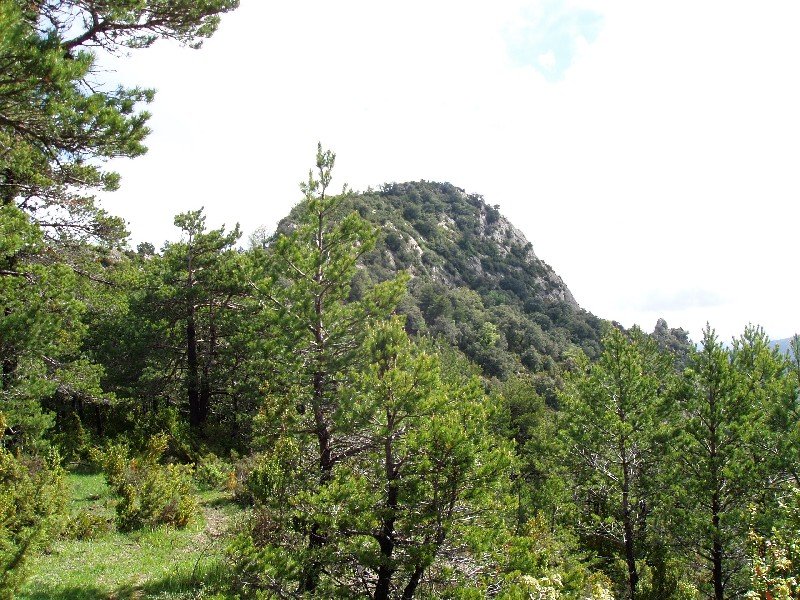 Iburtu haitza (1089m), Orlagatuko lepotik
