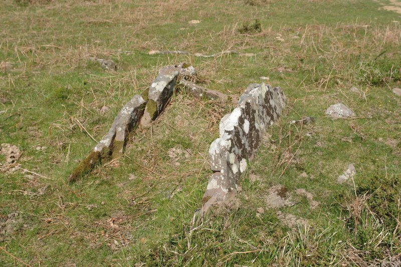 Trikuharria Meateko lepoan