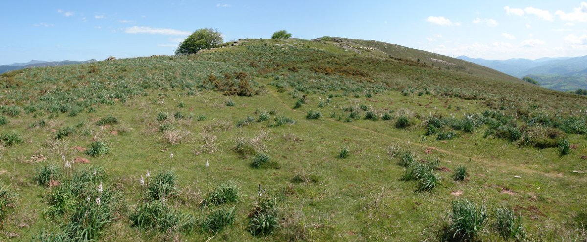 HMko bizkarreko ikuspegia