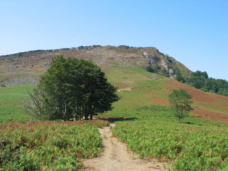 Meate aldetik (IE) ikusita