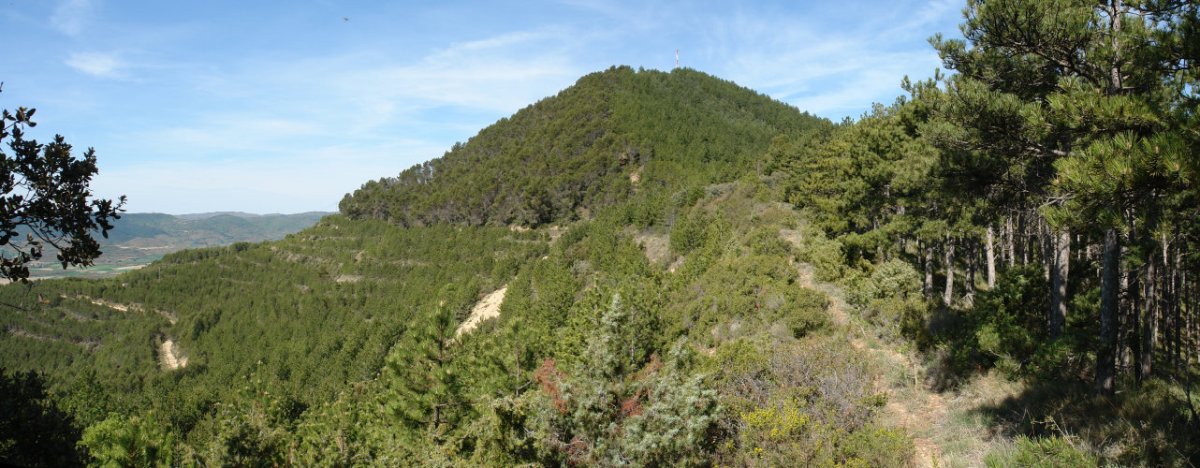 Ekialdeko bizkarretik ikusita