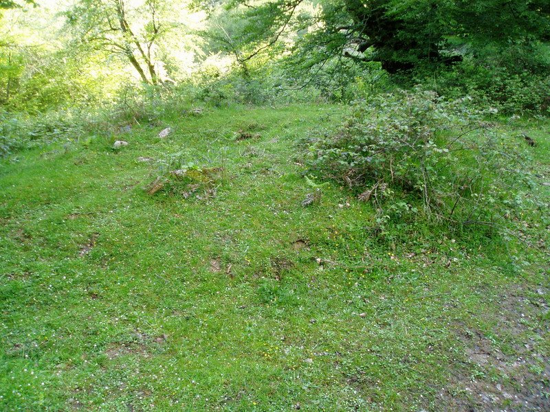 Txotxeta trikuharria