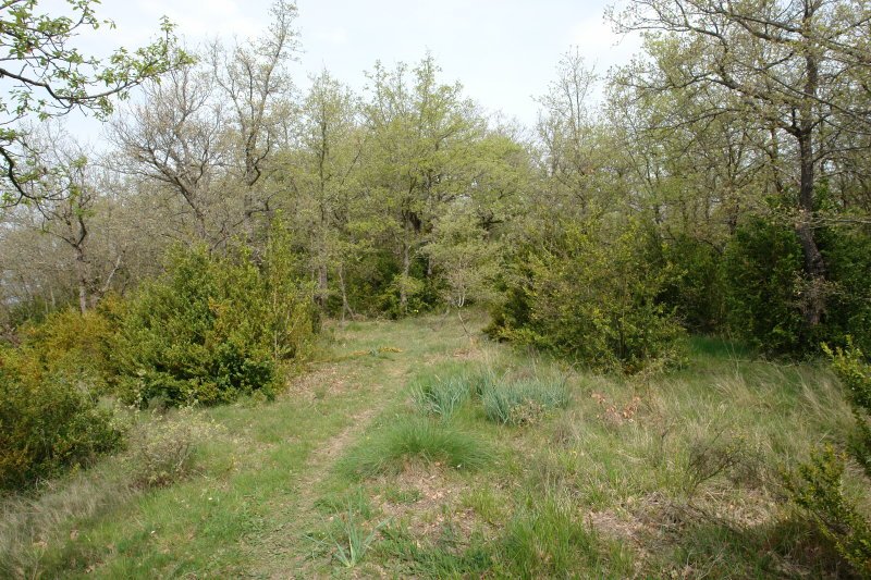 Bizkarreko bidea, Ekialdeko muturrean