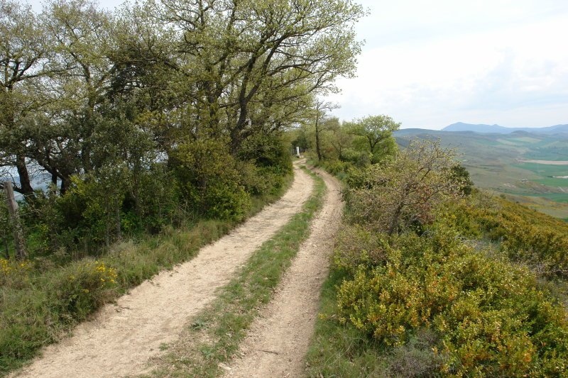 Tontorra mendebaldetik