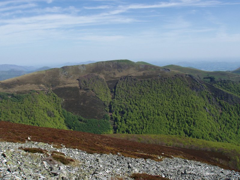 Txangoa, Ortzantzurietatik ikusita