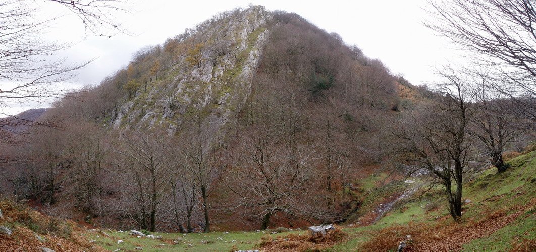 Baiarrate haitzartea