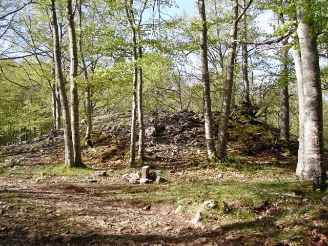 Erbillerriko trikuharria