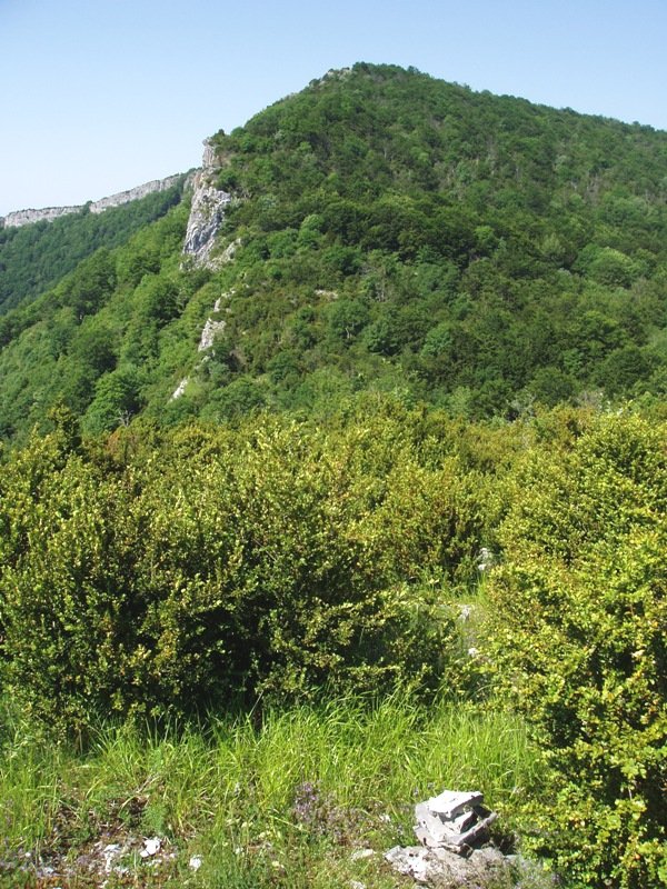 Kairna Aintzioako gainaldean. Atzean, Larrogain