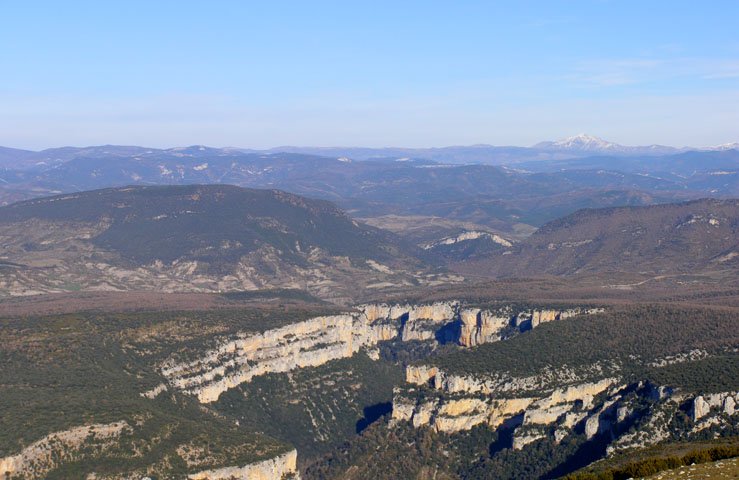 Arbaiun arroila Arangoititik ikusita