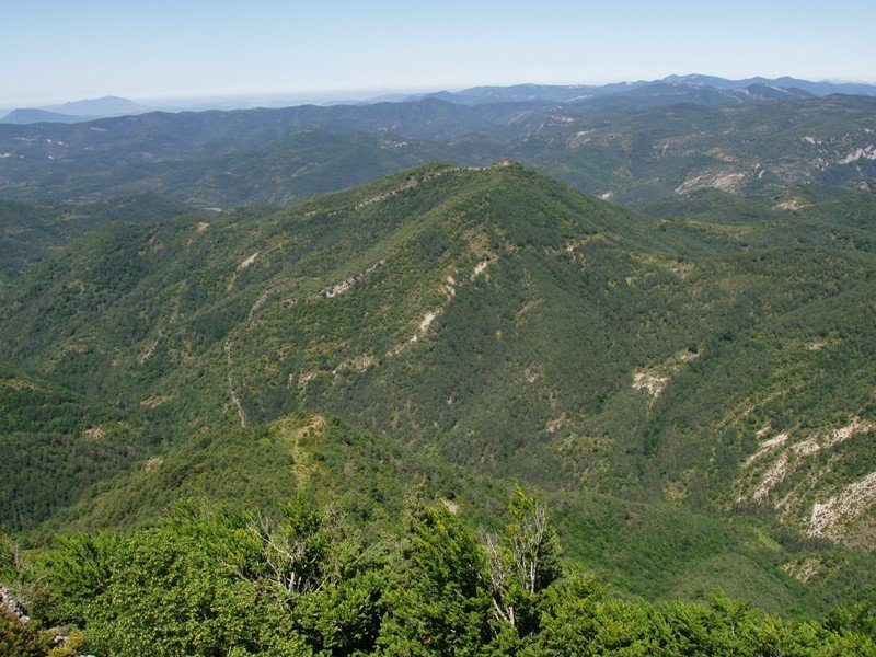 Txitxirimuria, Kukularen anaia