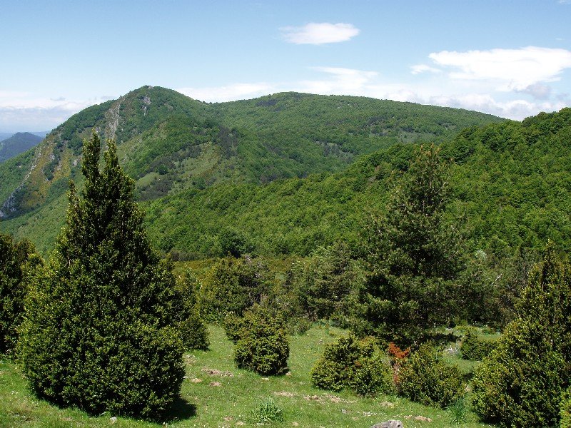 Motxorro eta Baigura, Areta atakaren inguretatik