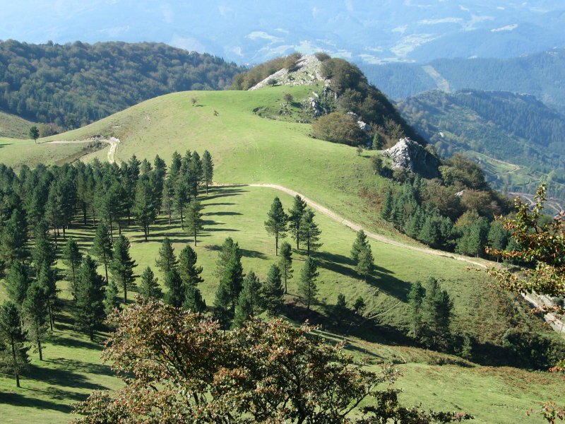 Ezkumin gaina gain aldetik ikusita