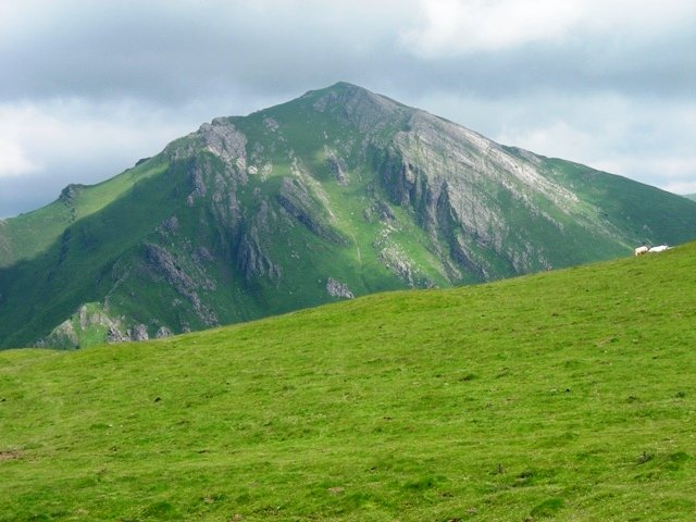 Organbide (Idopil)ko  lepotik