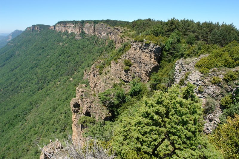 Mendebaldeko malkarrak